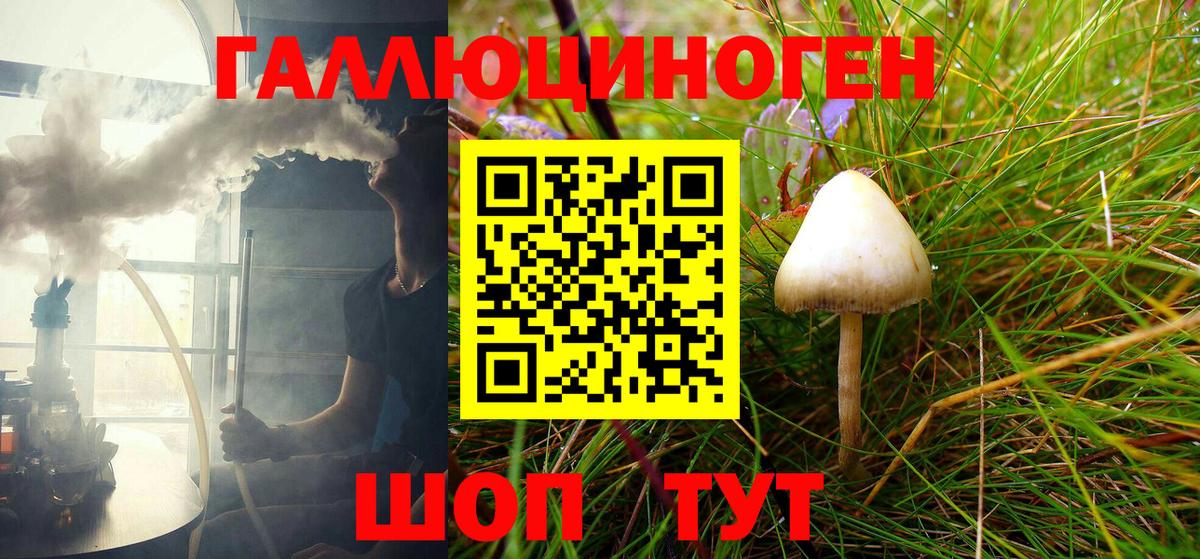 Псилоцибиновые грибы Magic Shrooms  Вход с VPN  Каменск-Шахтинский 